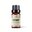 Ikebana Rosemary Essential Oil (20 ml) image