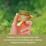 I’m From Mugwort Cream – 50gm image