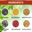 Imported Cockatail and Love Bird Food Packet - 500 gm image