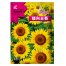 Imported F1 Hybrid Sunflower Seeds Brand Pack - 0.1gm image