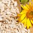 Imported F1 Hybrid Sunflower Seeds Brand Pack - 0.1gm image