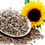 Imported F1 Hybrid Sunflower Seeds Brand Pack - 0.1gm image