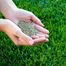 Imported Lawn Grass/ Carpet Grass Seeds (Re-Pack) 1gm image
