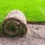 Imported Lawn Grass/ Carpet Grass Seeds (Re-Pack) 1gm image
