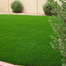 Imported Lawn Grass/ Carpet Grass Seeds (Re-Pack) 1gm image