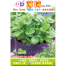 Imported Pudina Mint Seeds Intact Pack - 5gm image