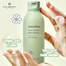 Innisfree Green Tea Pure Body Cleanser 310 ml image