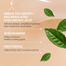Innisfree Green Tea Seed Hyaluronic Serum 80 Ml image