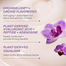 Innisfree Jeju Orchid Enriched Cream-50ml image
