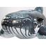 Intex Whale Ride-On Toy image