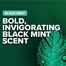 Irish Spring Black Mint Body Wash for Men 532 mL Uk image