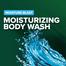 Irish Spring Moisture Blast Body Wash 532 ml (UAE) - 139700198 image