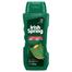 Irish Spring Sage and Cedar Moisturizing Face plus Body Wash 532 ml (UAE) - 139701422 image