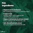 Isntree Mugwort Calming Clay Mask - 100ml image