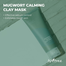 Isntree Real Mugwort Clay Mask 100ml image