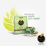 Ispahani Blenders Choice Green Tea Bag (In-bag tea bags (25 tea bags) 35 gm image