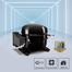 Jamuna JE-203L Refrigerator Glossy Shining Copper Golden image