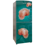 Jamuna JE-XX-2B8JF Refrigerator CD Green Lotus image