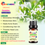 Jasmine Essential oil -10ml image