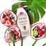 Jergens Hydrating Coconut Moisturizer B. Lotion Pump 400 ml (UAE) - 139700674 image