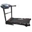 Jogway AC MOTOR T310AE Motorized Treadmill image