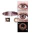 KSSEYE Diba Brown Colored Contact Lenses image