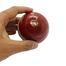 KS Cricket Ball Test Ball Practice Cricket Ball (cricket_ball_ks_crown_red) image