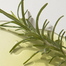 Kaine Rosemary AHA Night Serum 30 ml image