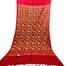 Kashmiri Poshmina Shawl For Women Winter image