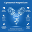 Kayseari Liposomal Magnesium L-Threonate 2000mg 60 Capsules image