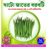 Khato Jater Borboti seeds Re-Pack - 20 pcs image