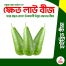 Khet Lau Seeds Re-Pack 5pcs image