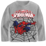 Kids Premium Full Sleeve T-Shirt - Spiderman image