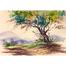 Watercolor Landscape of Krishnachura - (16x13)inches image