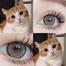 Ksseye Diamond Brown Color Contact Lens image