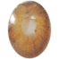Ksseye Pattaya Brown Color Contact Lens image