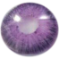 Ksseye Pattaya Violet Contact Lens With Kit Box(Lens Case) image