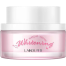 LAIKOU Face Makeup Cream 65g image