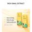 LAIKOU Sakura Matcha Seaweed Snail Sleeping Mask - 4pcs image