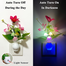 LED Mushroom Dim Light 0.3 Watt image