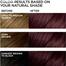 L'Oreal Feria Multi-Faceted Shimmering Color 36 Deep Burgundy Brown image