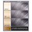 L'Oreal Paris Colorista Smokey Grey Permanent Gel Hair Colour image