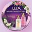 LUX Tempting Musk Perfumed Hand Wash Pump 250 ml (UAE) image