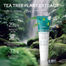 Laikou Bye Bye Acne Australia Tea Tree Gel - 15g image