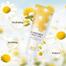 Laikou Camomile Hand Cream – 30gm image