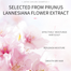 Laikou Japan Sakura Body Wash 200 ml image