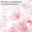 Laikou Japan Sakura Bubble Bath Bomb 30 gm image