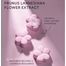 Laikou Japan Sakura Bubble Bath Bomb 30 gm image