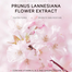 Laikou Japan Sakura Facial Mist 100 ml image