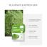 Laikou Tea Tree/ Eggplant /Mung Bean/Sakura / Matcha Mud Mask- 5pcs Combo image